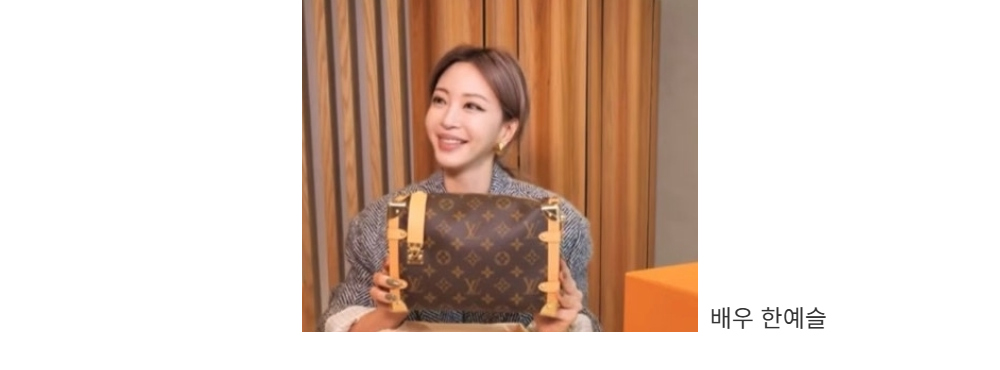 루이비통 모노그램 카드지갑 - 허시백 지갑